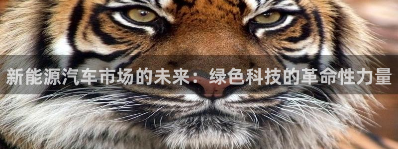 众腾娱乐梦幻演艺店