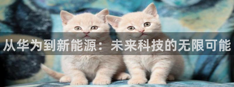 内蒙古众腾娱乐文化法人