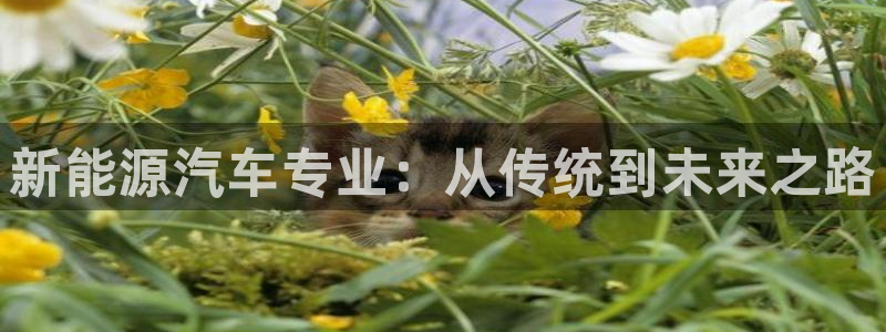 楚雄众腾娱乐