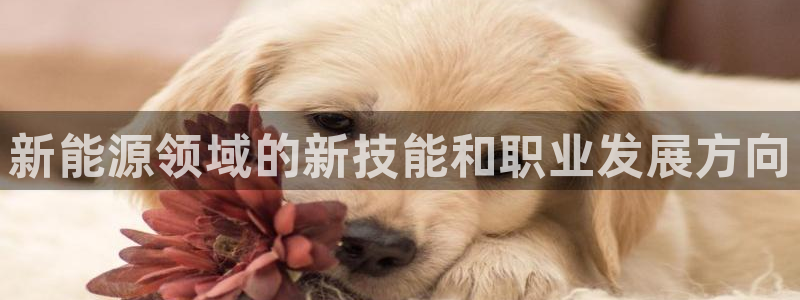 众腾娱乐总代理：新能源领域的新技能和职业