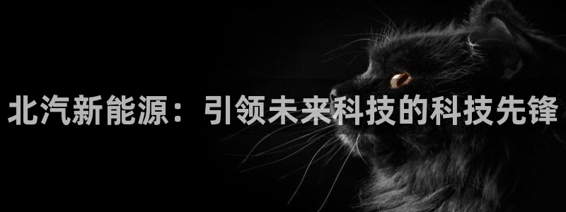 众腾娱乐公司简介：北汽新能源：引领未来科
