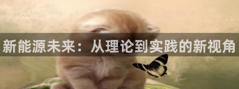 云南众腾娱乐：新能源未来：从理论到实践的