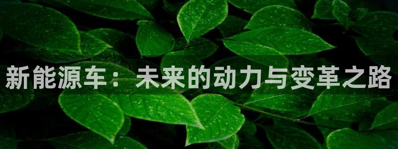 众腾娱乐毕 7O935