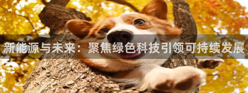 众腾娱乐平台