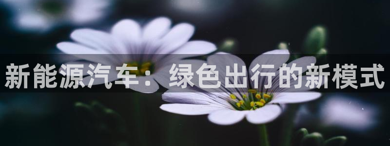 众东腾娱乐客服