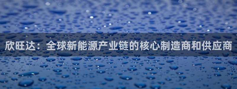 腾耀娱乐29999出众：欣旺达：全球新能