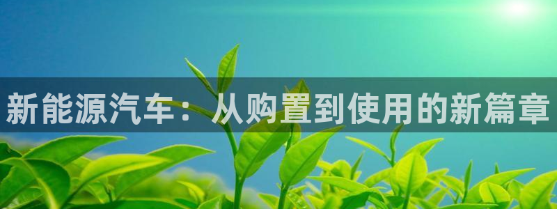 楚雄众腾娱乐：新能源汽车：从购置到使用的