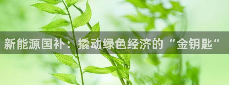 众腾娱乐总代理：新能源国补：撬动绿色经济