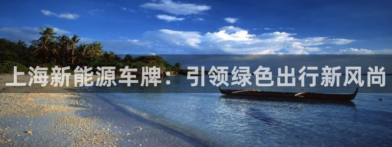 众腾娱乐集团有限公司:上海新能源车牌:引领绿色出行新风尚