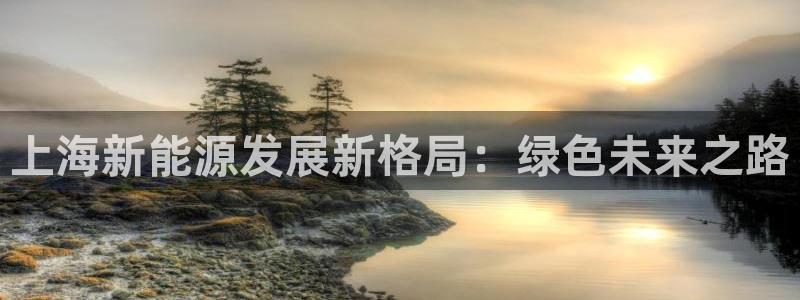 腾讯旗下的腾众娱乐:上海新能源发展新格局:绿色未来之路