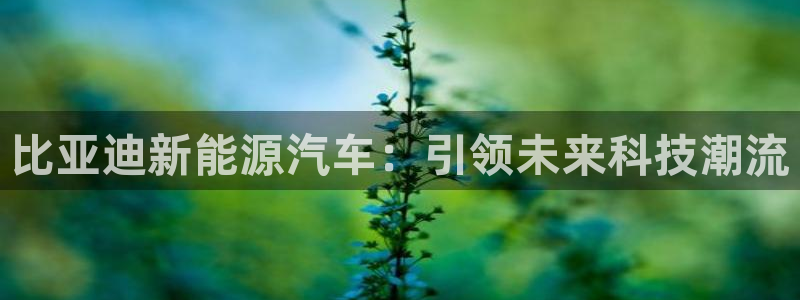 众腾娱乐得7O777:比亚迪新能源汽车:引领未来科技潮流