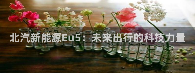 腾众娱乐：北汽新能源Eu5：未来出行的科
