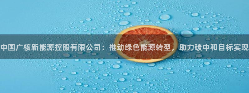 众腾娱乐app：中国广核新能源控股有限公