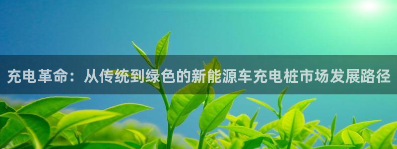 内蒙古众腾娱乐文化法人:充电革命:从传统到绿色的新能源车充电