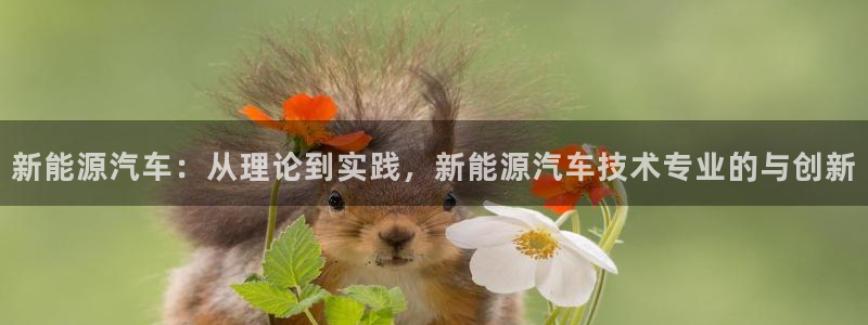 众腾娱乐蚀 7O935:新能源汽车:从理论到实践,新能源汽车