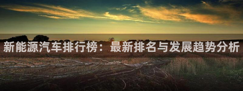 众腾娱乐文化怎么样:新能源汽车排行榜:最新排名与发展趋势分析