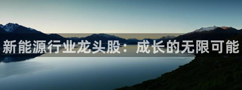 腾众娱乐:新能源行业龙头股:成长的无限可能