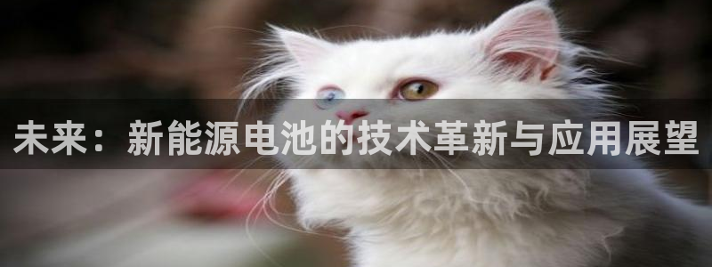 众联别墅g座上腾娱乐有限公司:未来:新能源电池的技术革新与应