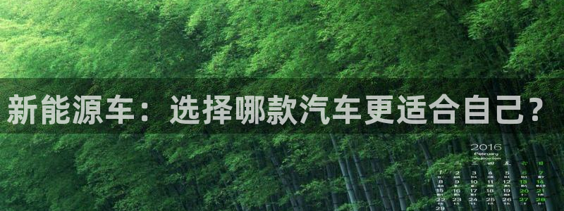 彝族自治州众腾娱乐:新能源车:选择哪款汽车更适合自己?