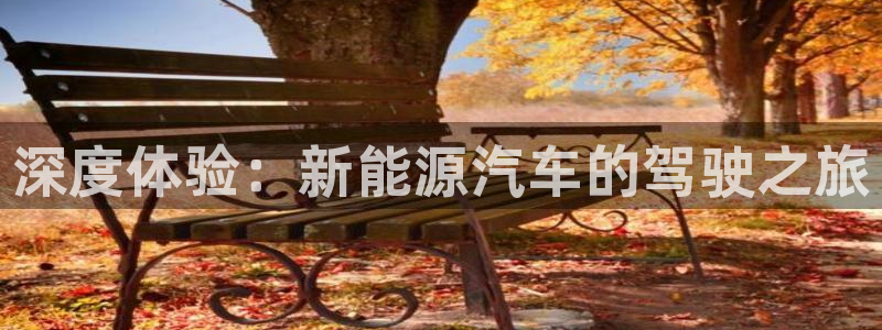 腾讯旗下的腾众娱乐:深度体验:新能源汽车的驾驶之旅