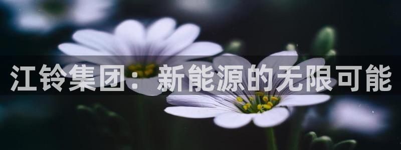 众腾娱乐开户:江铃集团:新能源的无限可能