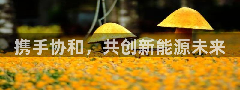 众腾娱乐平台下载:携手协和,共创新能源未来