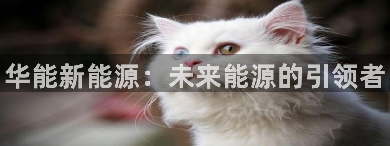 腾众娱乐:华能新能源:未来能源的引领者