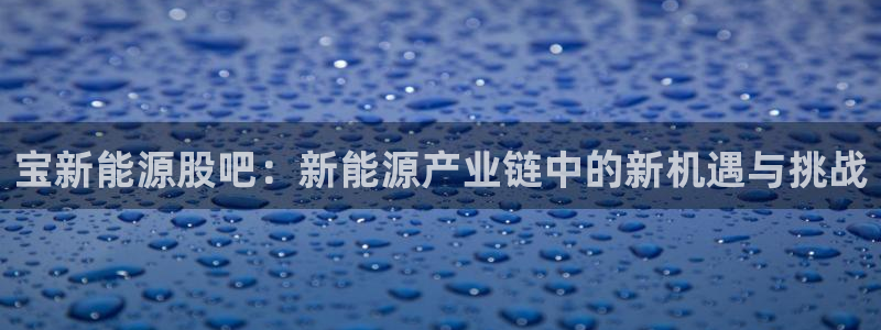 众东腾娱乐客服:宝新能源股吧:新能源产业链中的新机遇与挑战