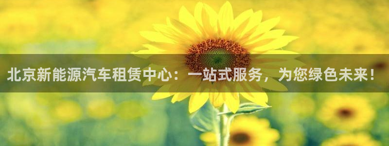 内蒙古众腾娱乐文化法人:北京新能源汽车租赁中心:一站式服务,