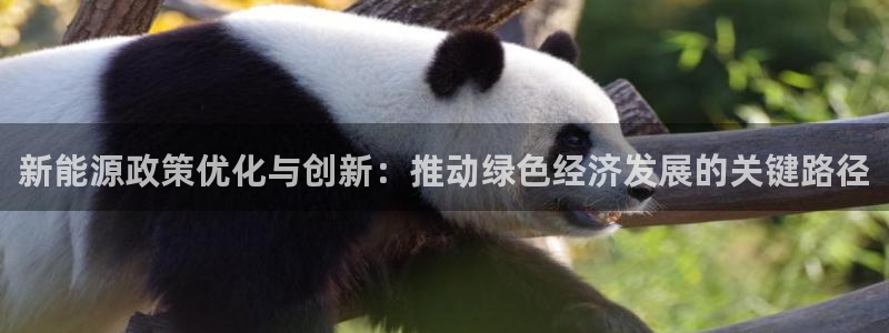 众腾娱乐得7O777：新能源政策优化与创
