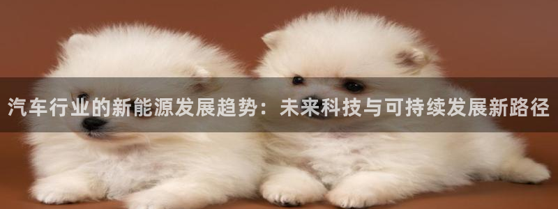 腾众娱乐是什么：汽车行业的新能源发展趋势